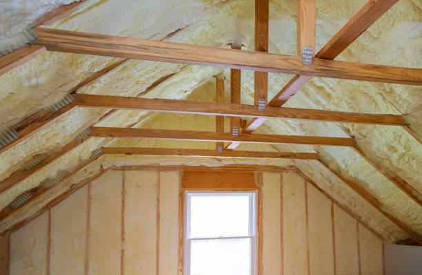 Best Residential Insulation in Carver, MN