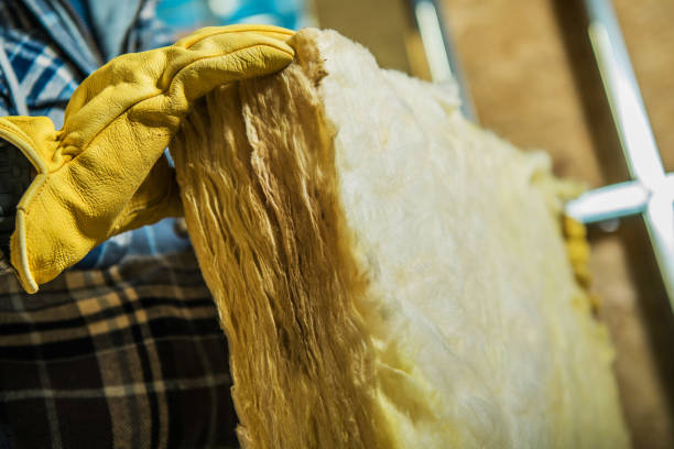 Best Insulation Installation Services in Carver, MN