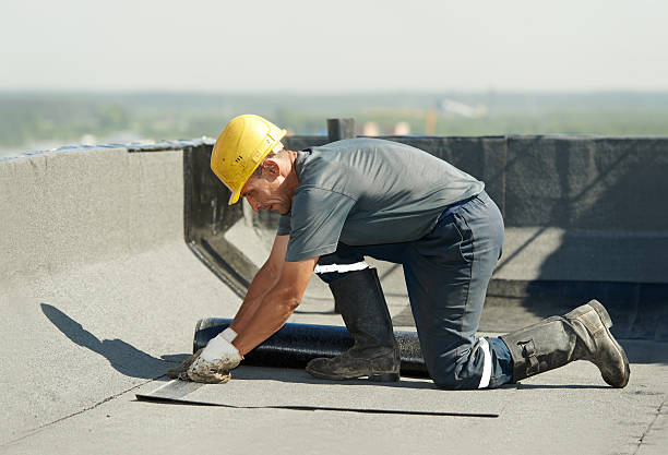 Best Specialty Insulation in Carver, MN