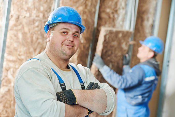 Best Commercial Insulation in Carver, MN