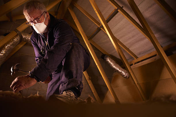Best Commercial Insulation in Carver, MN